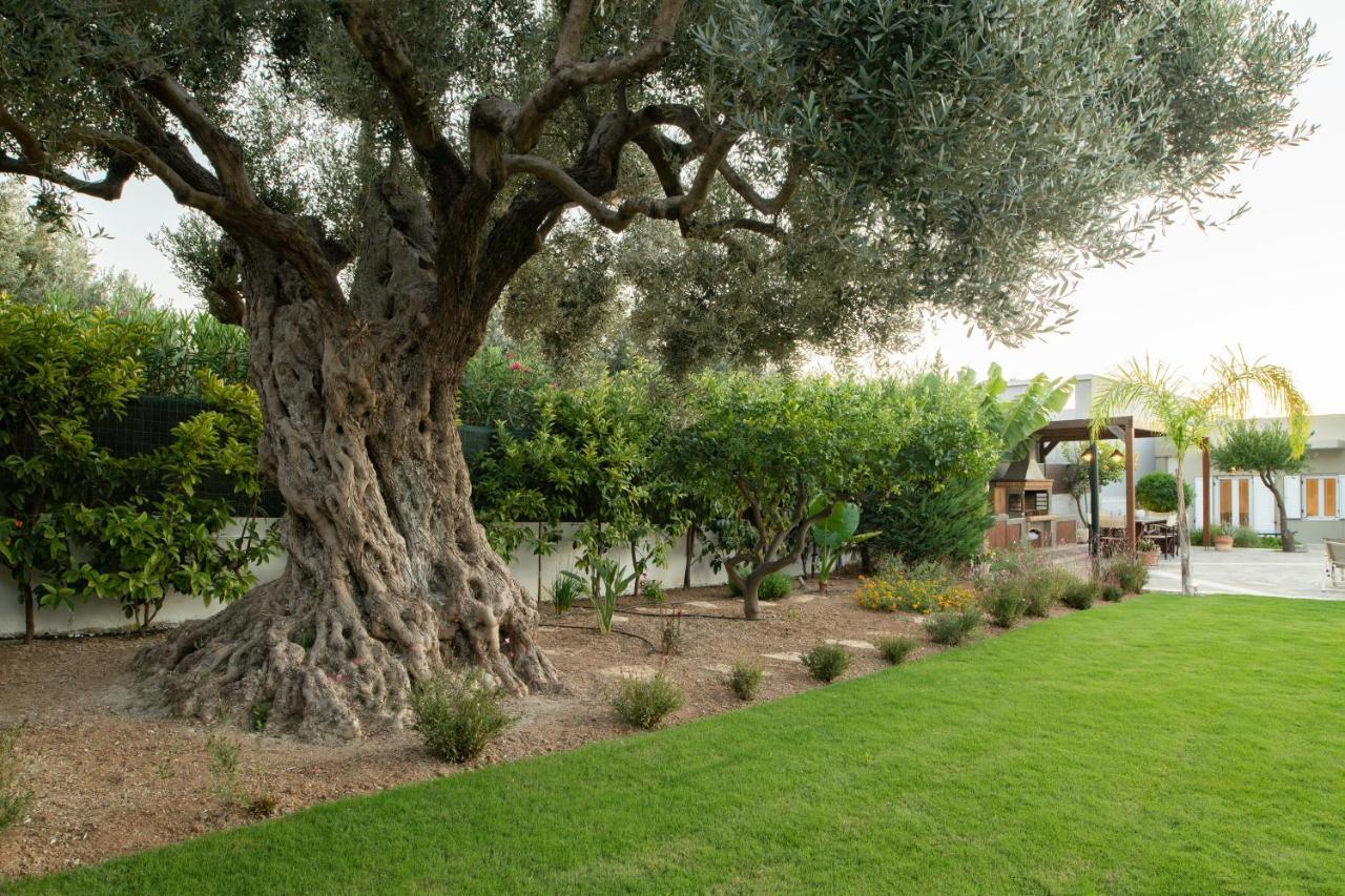 Villa Periklis 아델리아노스 캄포스 외부 사진